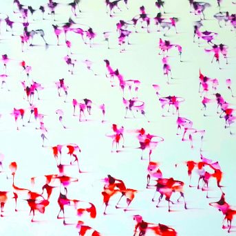Bild der Dankstelle Kunst – Kompetenz – Petra Kern