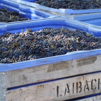 Bild der Dankstelle Vinothek Laibach & Seeger Felix Kühner Weinbar