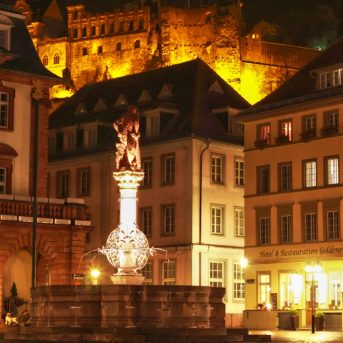 Bild oder Logo der Dankstelle Hotel & Restaurant Goldener Falke