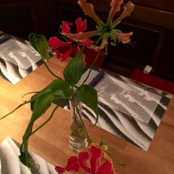 Bild der Dankstelle Restaurant Goldener Anker