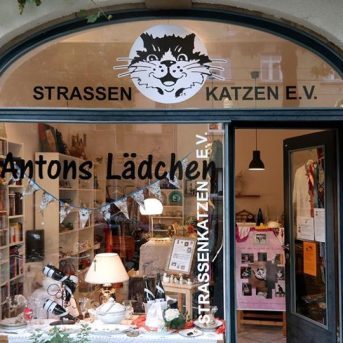 Bild oder Logo der Dankstelle Straßenkatzen e.V.