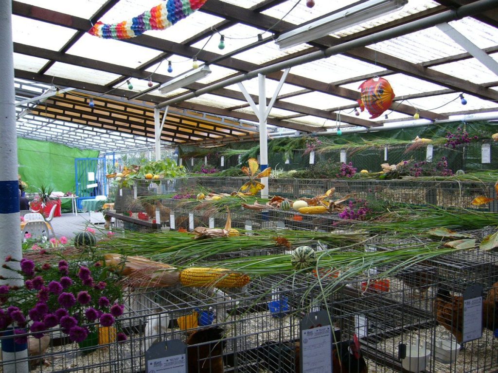 Bild der Dankstelle Kleintierzuchtverein C75 Kirchheim