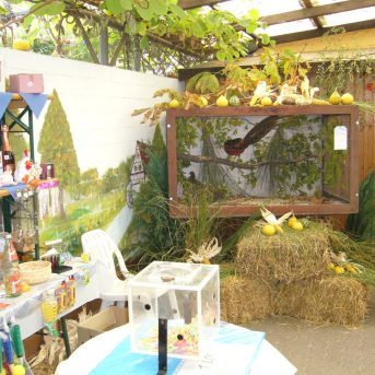 Bild der Dankstelle Kleintierzuchtverein C75 Kirchheim