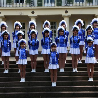 Bild oder Logo der Dankstelle Heidelberger Carneval Club Blau – Weiß 1960 e.V.