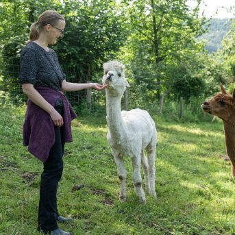 Bild der Dankstelle Alpakafarm Hirtenaue