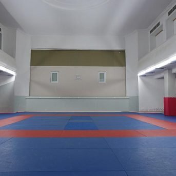 Bild oder Logo der Dankstelle Heidelberger Judoclub e.V.
