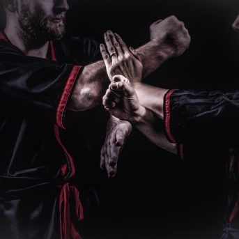 Bild oder Logo der Dankstelle Akademie für WingChun GbR Johann & Escobar