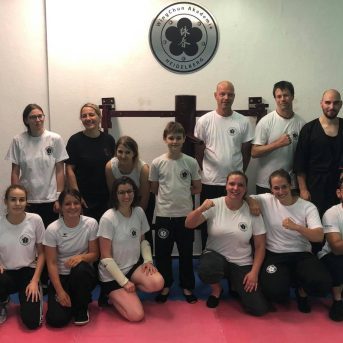 Bild der Dankstelle Akademie für WingChun Heidelberg – Selbstverteidigung & Kampfkunst