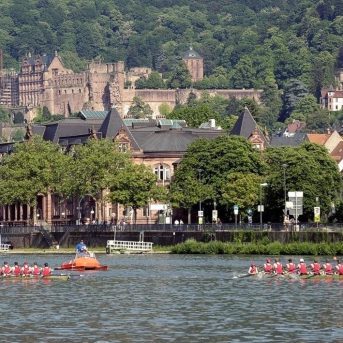 Bild oder Logo der Dankstelle Heidelberger Regatta-Verband 1923 e.V.