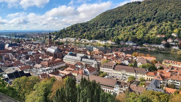 Blick über die Heidelberger Altstadt