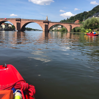 Bild der Dankstelle Paddle Tours Heidelberg