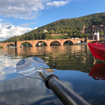 Bild oder Logo der Dankstelle Paddle Tours Heidelberg