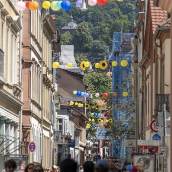 Bild der Dankstelle Plöckfest