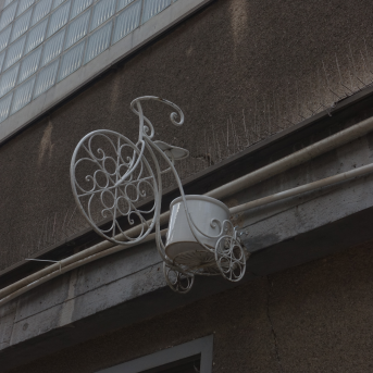 Bild oder Logo der Dankstelle joyrides e-bike rental