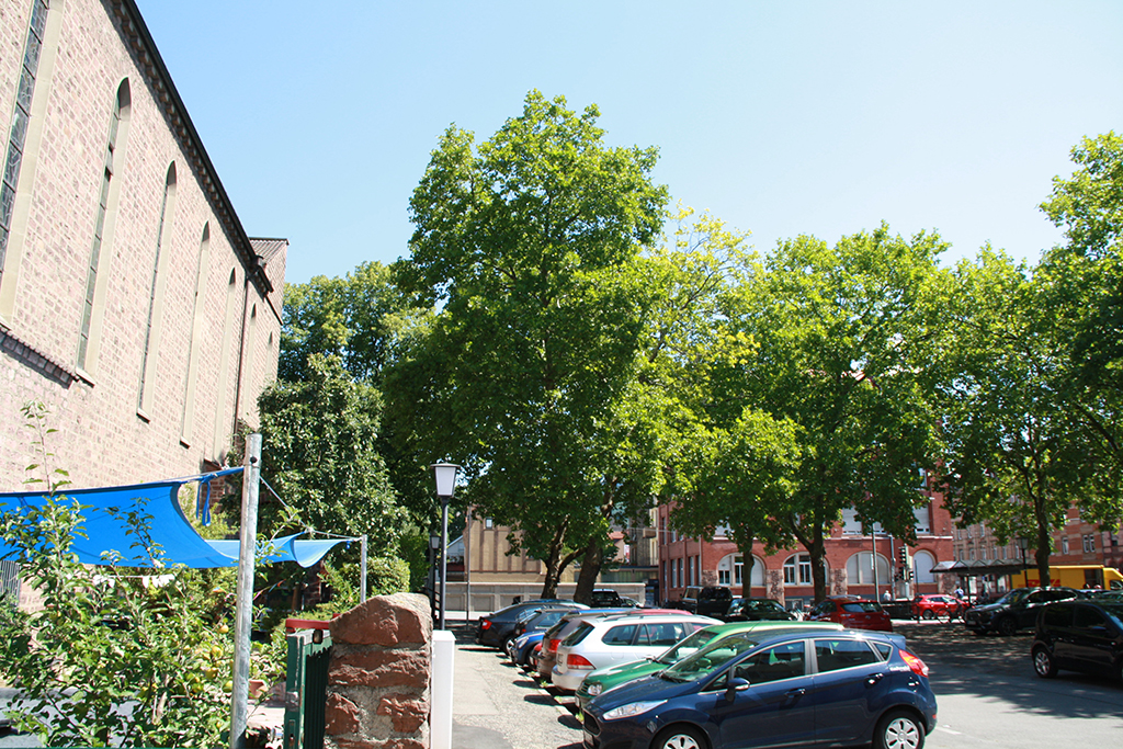 Bild des Projekts Alfons-Beil-Platz