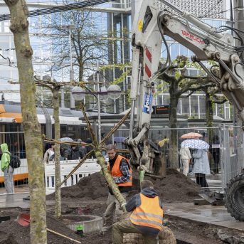 Bild der Dankstelle Bismarckplatz