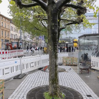 Bild der Dankstelle Bismarckplatz